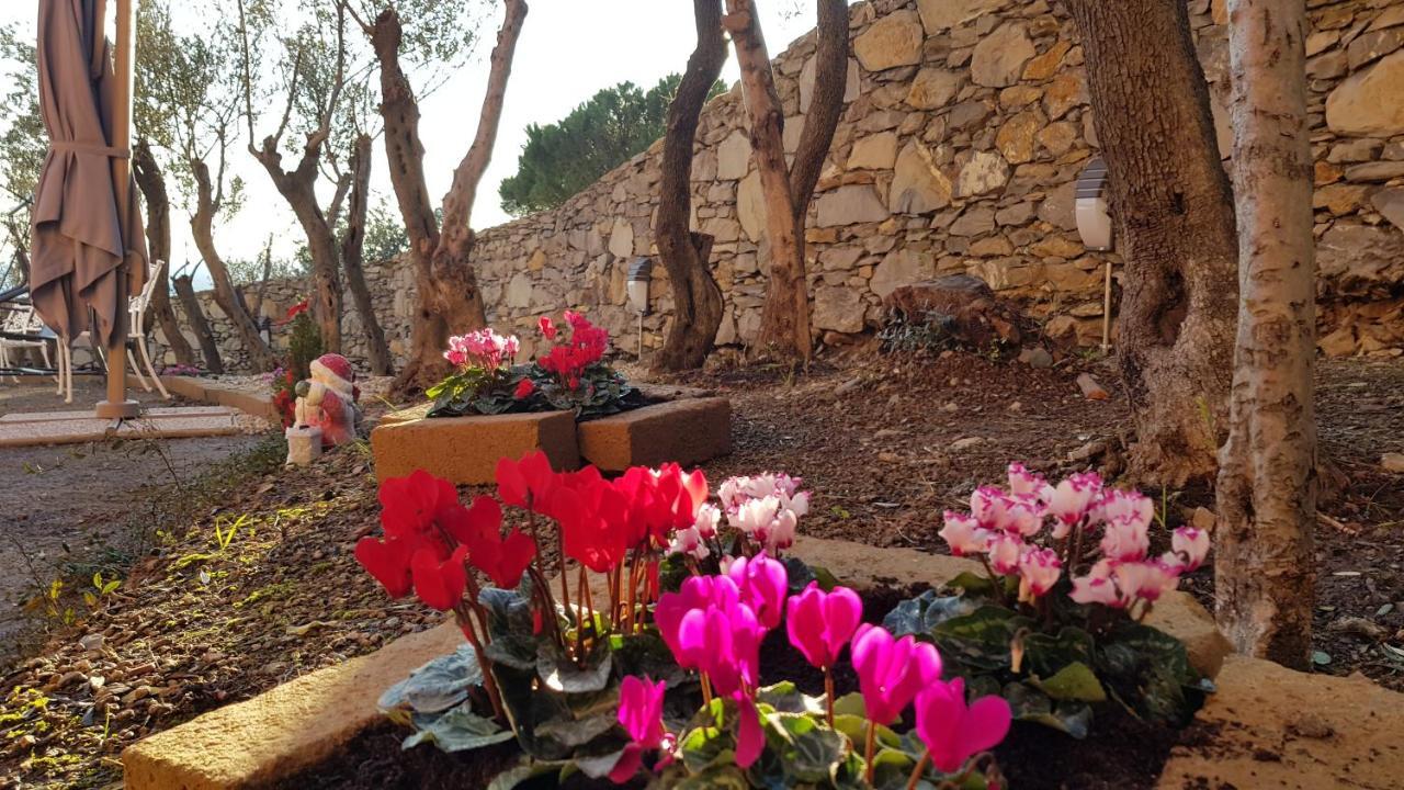 제노바 Poggio Degli Ulivi 아파트 외부 사진